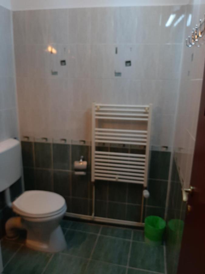 Vila Vanda Cluj-Napoca Extérieur photo